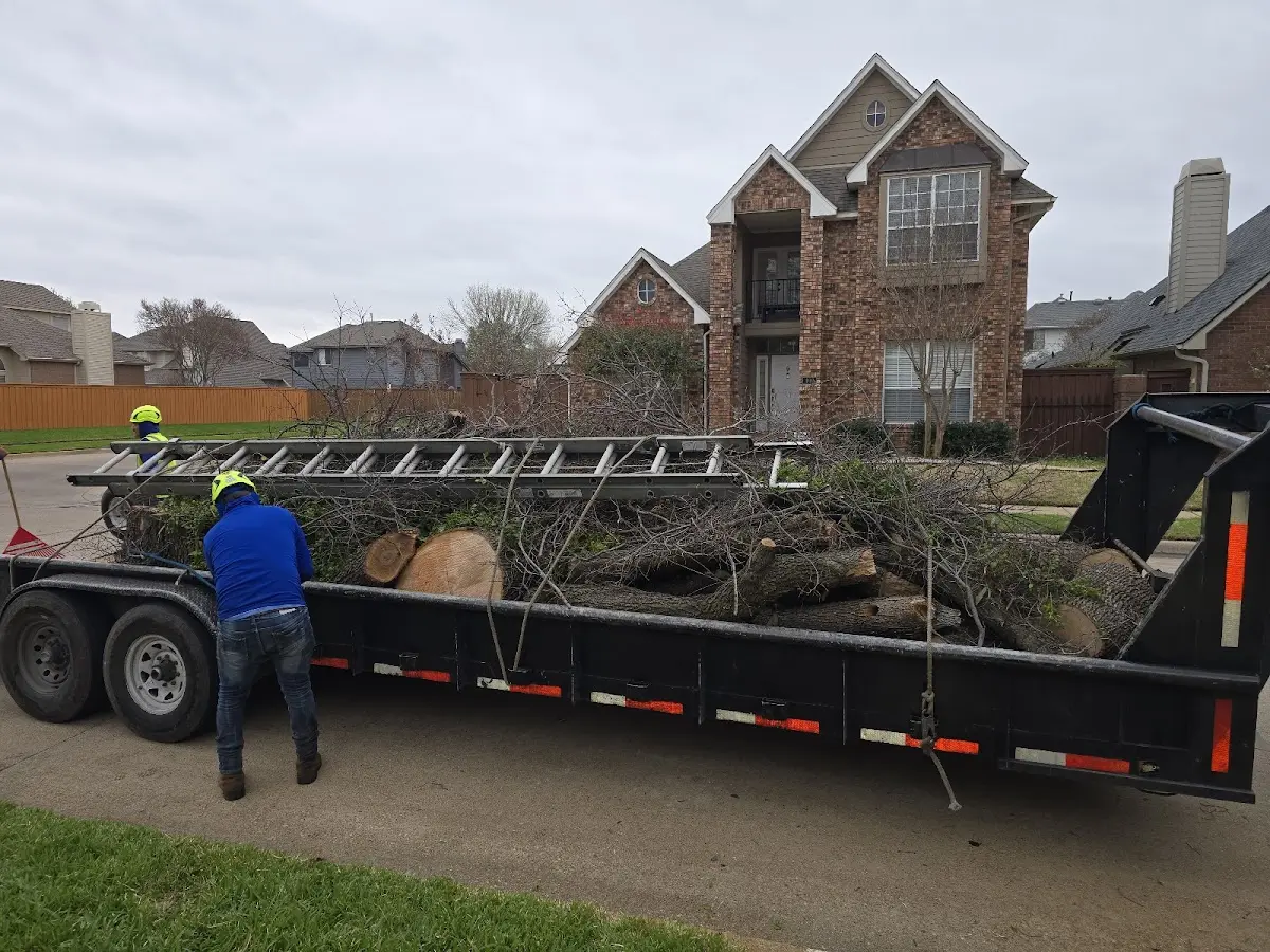Expert Tree Fertilization with proper safety equipment in Proctor
